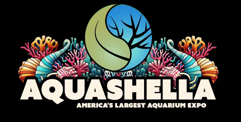 AquaShella