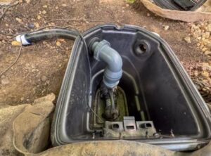 Aquascape Dual Union Check Valve 2.0