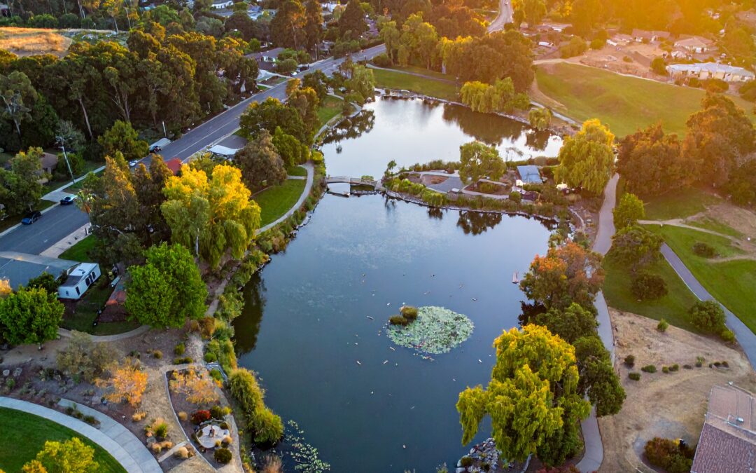 Greater Sacramento Area